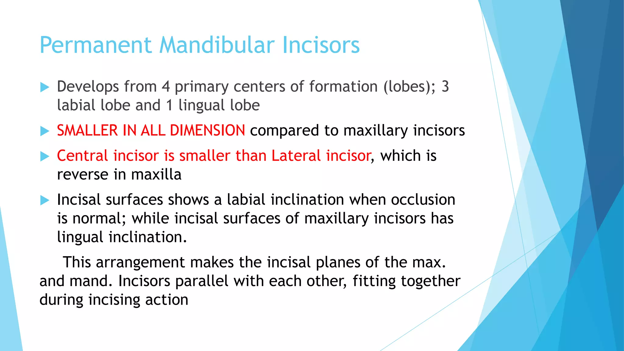 PERMANENT MANDIBULAR CENTRAL INCISOR | PPTX