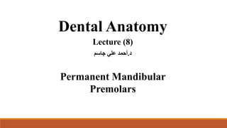 Dental Anatomy
Lecture (8)
‫د‬
.
‫جاسم‬ ‫علي‬ ‫أحمد‬
Permanent Mandibular
Premolars
 