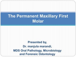 Presented by,
Dr. manjula marandi,
MDS Oral Pathology, Microbiology
and Forensic Odontology
The Permanent Maxillary First
Molar
 