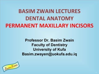 BASIM ZWAIN LECTURES
DENTAL ANATOMY
PERMANENT MAXILLARY INCISORS
Professor Dr. Basim Zwain
Faculty of Dentistry
University of Kufa
Basim.zwayen@uokufa.edu.iq
 