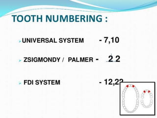 permanent maxillary lateral incisor.pptx