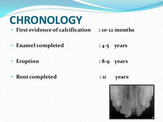 permanent maxillary lateral incisor.pptx