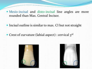 permanent maxillary lateral incisor.pptx