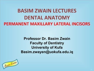 BASIM ZWAIN LECTURES
DENTAL ANATOMY
PERMANENT MAXILLARY LATERAL INCISORS
Professor Dr. Basim Zwain
Faculty of Dentistry
University of Kufa
Basim.zwayen@uokufa.edu.iq
 