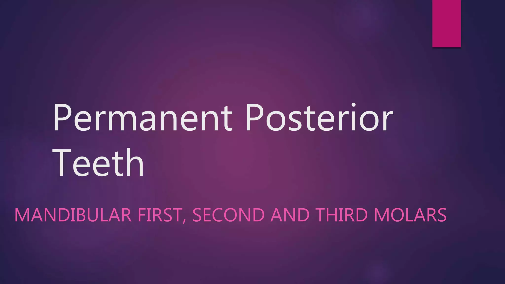 Permanent posterior teeth mandibular first, second and third molars PPT