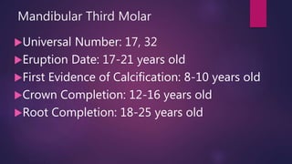 Mandibular Third Molar
Universal Number: 17, 32
Eruption Date: 17-21 years old
First Evidence of Calcification: 8-10 years old
Crown Completion: 12-16 years old
Root Completion: 18-25 years old
 
