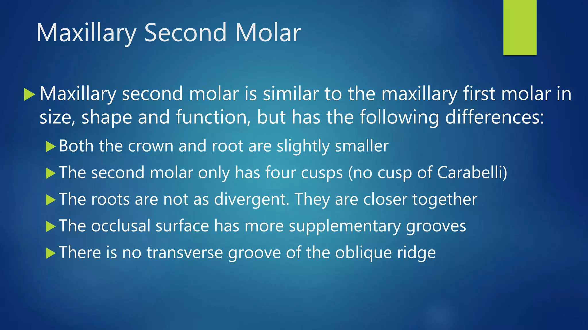 Permanent posterior teeth maxillary first, second and third molars | PPTX