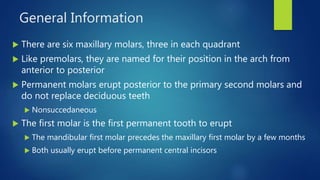 Permanent posterior teeth maxillary first, second and third molars | PPTX