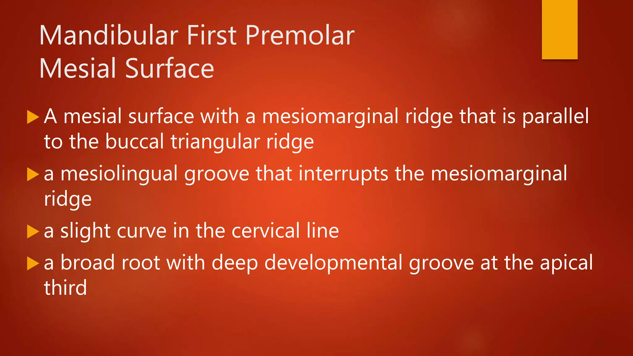 Permanent posterior teeth premolars | PPTX