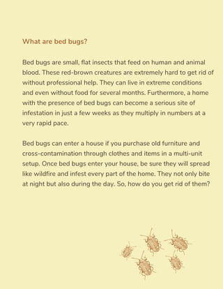 Bed bugs are small, flat insects that feed on human and animal
blood. These red-brown creatures are extremely hard to get rid of
without professional help. They can live in extreme conditions
and even without food for several months. Furthermore, a home
with the presence of bed bugs can become a serious site of
infestation in just a few weeks as they multiply in numbers at a
very rapid pace.
Bed bugs can enter a house if you purchase old furniture and
cross-contamination through clothes and items in a multi-unit
setup. Once bed bugs enter your house, be sure they will spread
like wildfire and infest every part of the home. They not only bite
at night but also during the day. So, how do you get rid of them?
What are bed bugs?
 