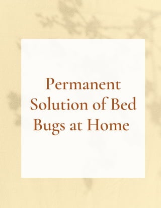 Permanent
Solution of Bed
Bugs at Home
 