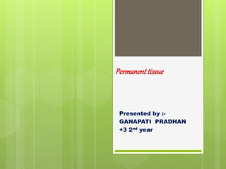 Permanenttissue
Presented by :-
GANAPATI PRADHAN
+3 2nd year
 