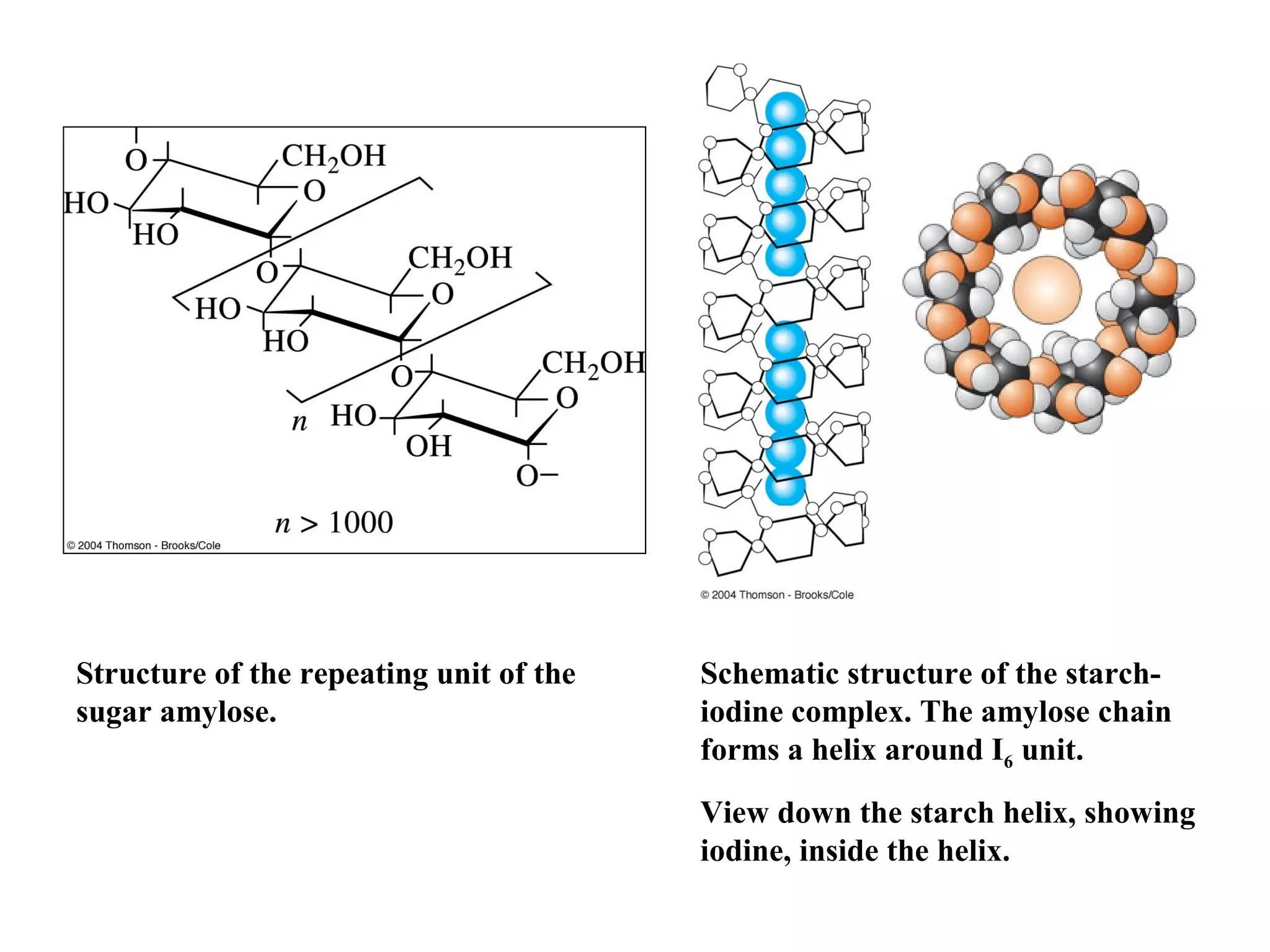 Structure of the repeating unit of the
sugar amylose.

Schematic structure of the starchiodine complex. The amylose chain
forms a helix around I6 unit.
View down the starch helix, showing
iodine, inside the helix.

 