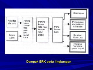 Dampak ERK pada lingkungan
 