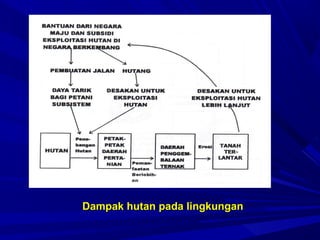 Dampak hutan pada lingkungan
 