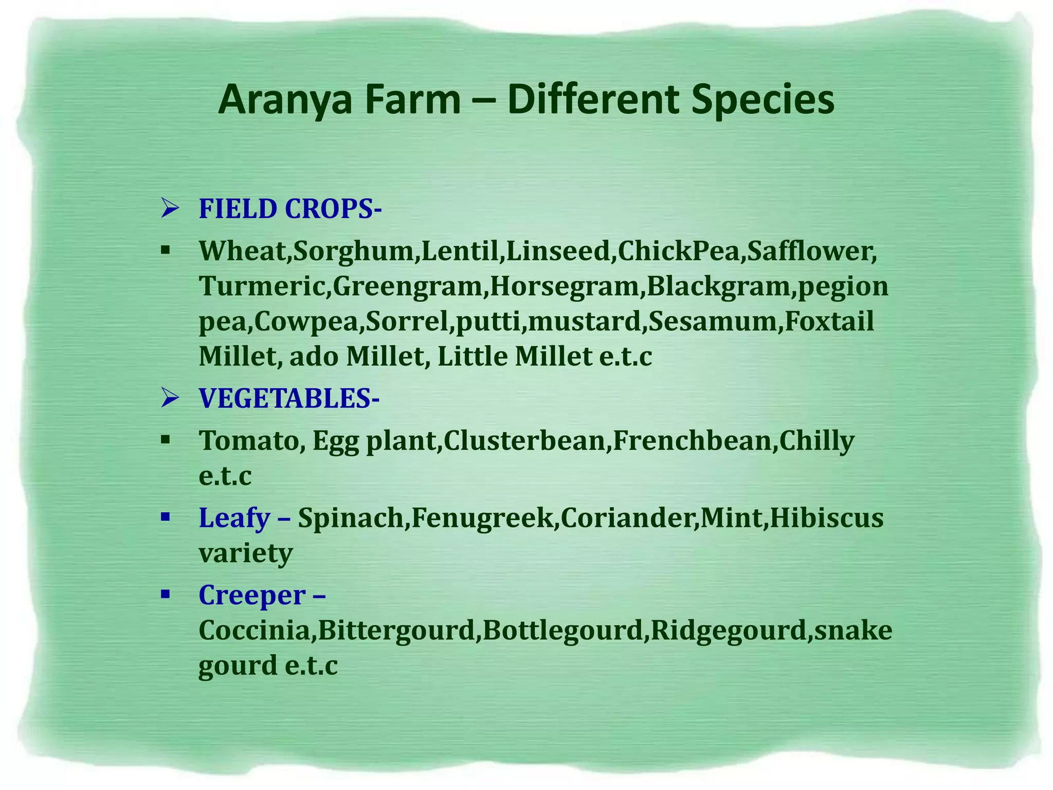 Aranya Farm – Different Species
 FIELD CROPS-
 Wheat,Sorghum,Lentil,Linseed,ChickPea,Safflower,
Turmeric,Greengram,Horsegram,Blackgram,pegion
pea,Cowpea,Sorrel,putti,mustard,Sesamum,Foxtail
Millet, ado Millet, Little Millet e.t.c
 VEGETABLES-
 Tomato, Egg plant,Clusterbean,Frenchbean,Chilly
e.t.c
 Leafy – Spinach,Fenugreek,Coriander,Mint,Hibiscus
variety
 Creeper –
Coccinia,Bittergourd,Bottlegourd,Ridgegourd,snake
gourd e.t.c
 