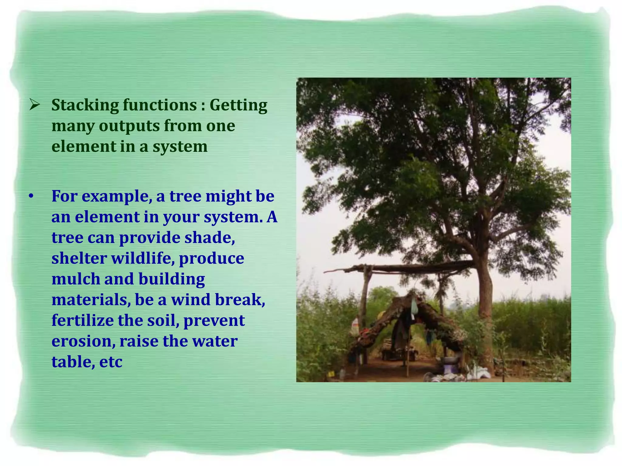  Stacking functions : Getting
many outputs from one
element in a system
• For example, a tree might be
an element in your system. A
tree can provide shade,
shelter wildlife, produce
mulch and building
materials, be a wind break,
fertilize the soil, prevent
erosion, raise the water
table, etc
 