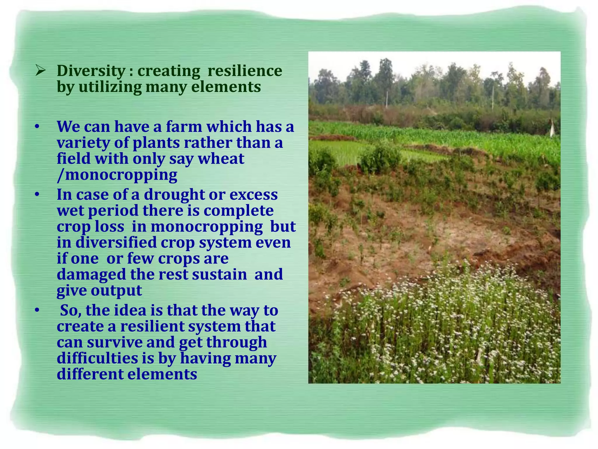  Diversity : creating resilience
by utilizing many elements
• We can have a farm which has a
variety of plants rather than a
field with only say wheat
/monocropping
• In case of a drought or excess
wet period there is complete
crop loss in monocropping but
in diversified crop system even
if one or few crops are
damaged the rest sustain and
give output
• So, the idea is that the way to
create a resilient system that
can survive and get through
difficulties is by having many
different elements
 