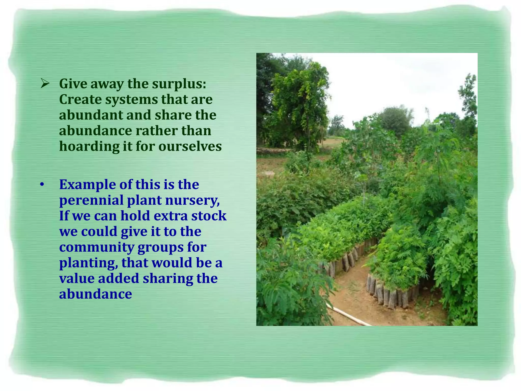  Give away the surplus:
Create systems that are
abundant and share the
abundance rather than
hoarding it for ourselves
• Example of this is the
perennial plant nursery,
If we can hold extra stock
we could give it to the
community groups for
planting, that would be a
value added sharing the
abundance
 