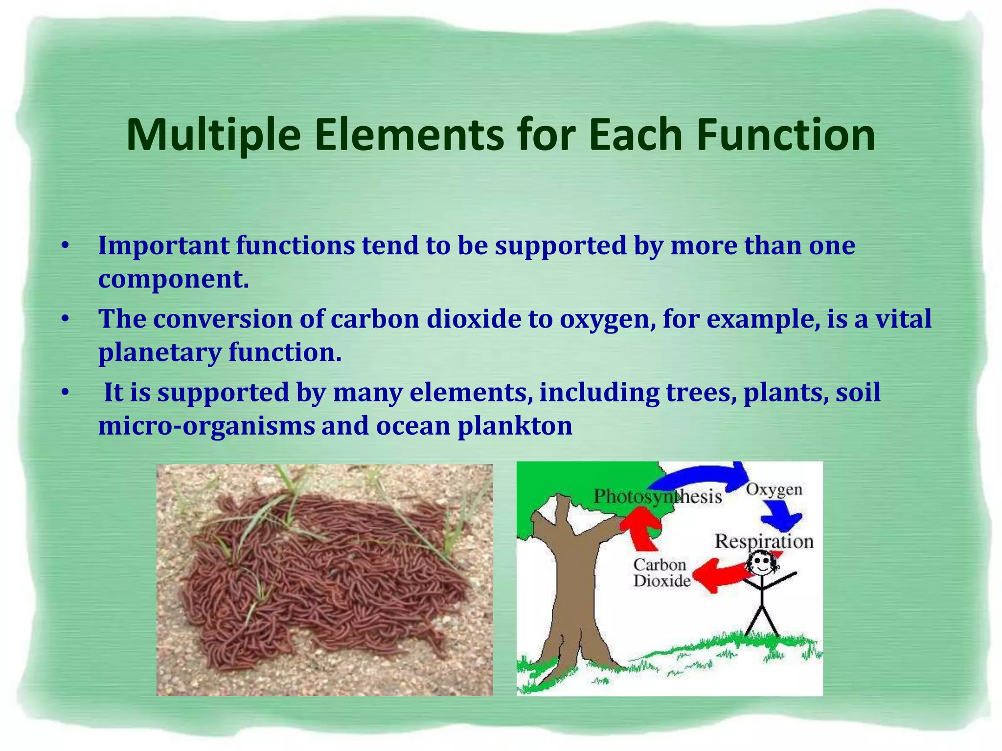Multiple Elements for Each Function
• Important functions tend to be supported by more than one
component.
• The conversion of carbon dioxide to oxygen, for example, is a vital
planetary function.
• It is supported by many elements, including trees, plants, soil
micro-organisms and ocean plankton
 