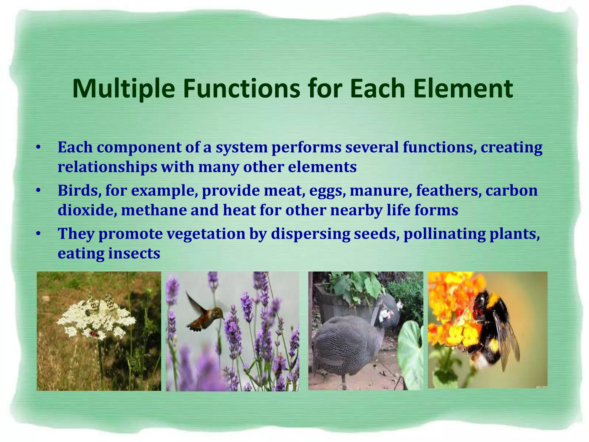 Multiple Functions for Each Element
• Each component of a system performs several functions, creating
relationships with many other elements
• Birds, for example, provide meat, eggs, manure, feathers, carbon
dioxide, methane and heat for other nearby life forms
• They promote vegetation by dispersing seeds, pollinating plants,
eating insects
 