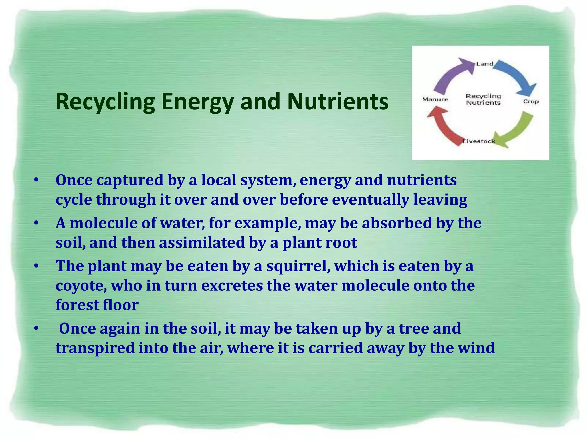 Recycling Energy and Nutrients
• Once captured by a local system, energy and nutrients
cycle through it over and over before eventually leaving
• A molecule of water, for example, may be absorbed by the
soil, and then assimilated by a plant root
• The plant may be eaten by a squirrel, which is eaten by a
coyote, who in turn excretes the water molecule onto the
forest floor
• Once again in the soil, it may be taken up by a tree and
transpired into the air, where it is carried away by the wind
 