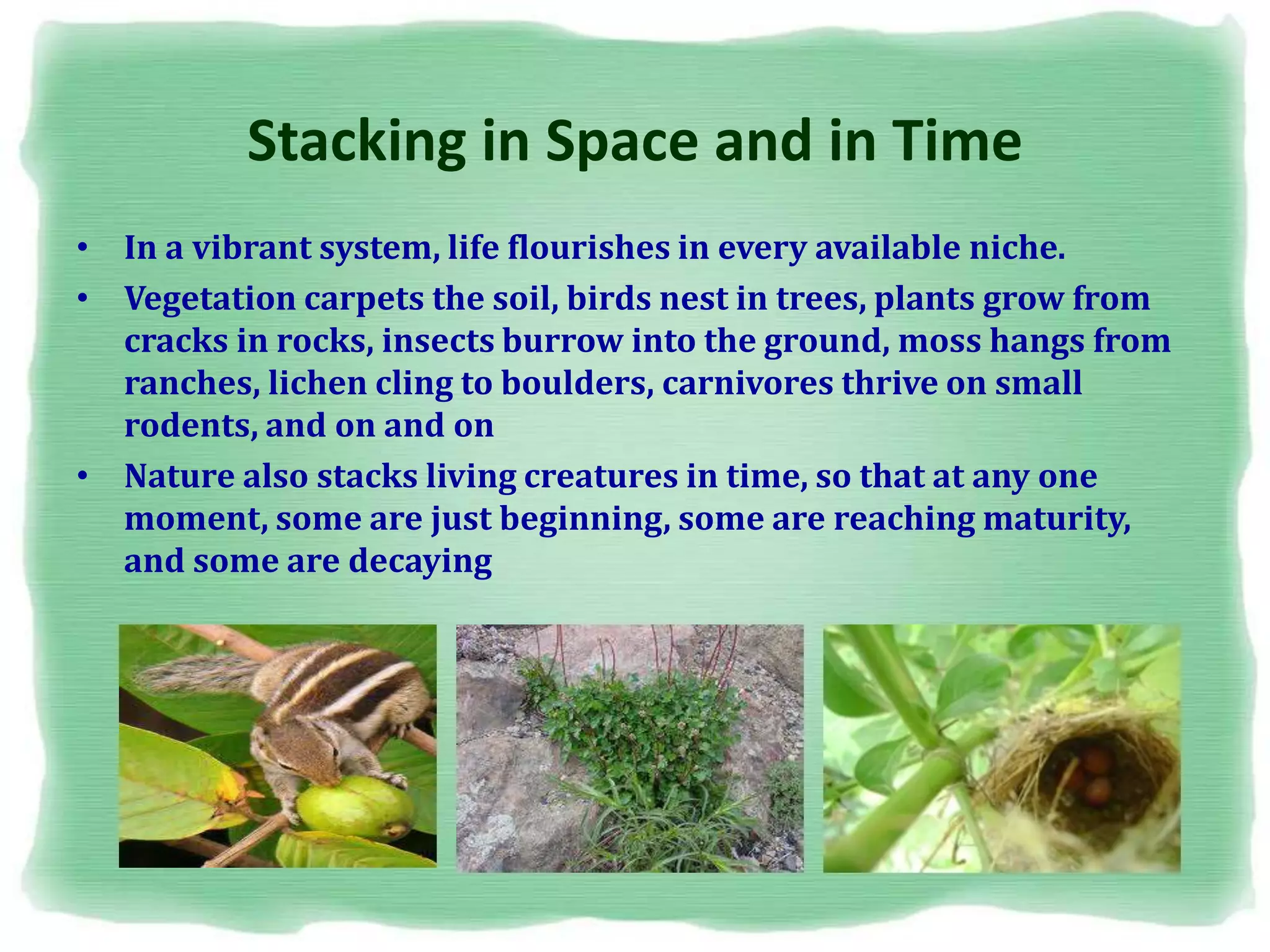 Stacking in Space and in Time
• In a vibrant system, life flourishes in every available niche.
• Vegetation carpets the soil, birds nest in trees, plants grow from
cracks in rocks, insects burrow into the ground, moss hangs from
ranches, lichen cling to boulders, carnivores thrive on small
rodents, and on and on
• Nature also stacks living creatures in time, so that at any one
moment, some are just beginning, some are reaching maturity,
and some are decaying
 