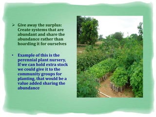  Give away the surplus:
Create systems that are
abundant and share the
abundance rather than
hoarding it for ourselves
• Example of this is the
perennial plant nursery,
If we can hold extra stock
we could give it to the
community groups for
planting, that would be a
value added sharing the
abundance
 