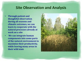 Site Observation and Analysis
• Through patient and
thoughtful observation
during all seasons and
climatic extremes, we can
learn to cooperate with the
natural processes already at
work on a site
• We can integrate human
components into some parts
of the natural environment to
maximize their productivity,
while leaving many areas in
their wild state
 
