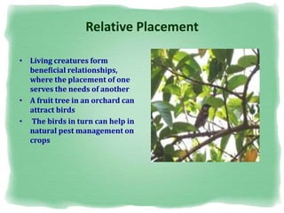 Relative Placement
• Living creatures form
beneficial relationships,
where the placement of one
serves the needs of another
• A fruit tree in an orchard can
attract birds
• The birds in turn can help in
natural pest management on
crops
 