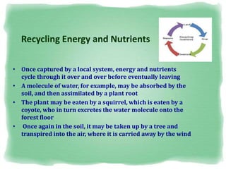 Recycling Energy and Nutrients
• Once captured by a local system, energy and nutrients
cycle through it over and over before eventually leaving
• A molecule of water, for example, may be absorbed by the
soil, and then assimilated by a plant root
• The plant may be eaten by a squirrel, which is eaten by a
coyote, who in turn excretes the water molecule onto the
forest floor
• Once again in the soil, it may be taken up by a tree and
transpired into the air, where it is carried away by the wind
 