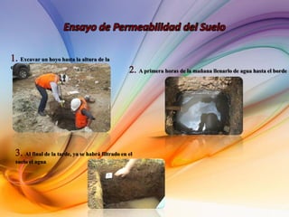 Excavar un hoyo hasta la altura de la
cintura
A primera horas de la mañana llenarlo de agua hasta el borde
Al final de la tarde, ya se habrá filtrado en el
suelo el agua
 