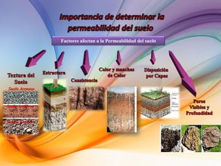 Factores afectan a la Permeabilidad del suelo
Suelo Arenoso
Suelo Arcilloso
Suelos Francos
 