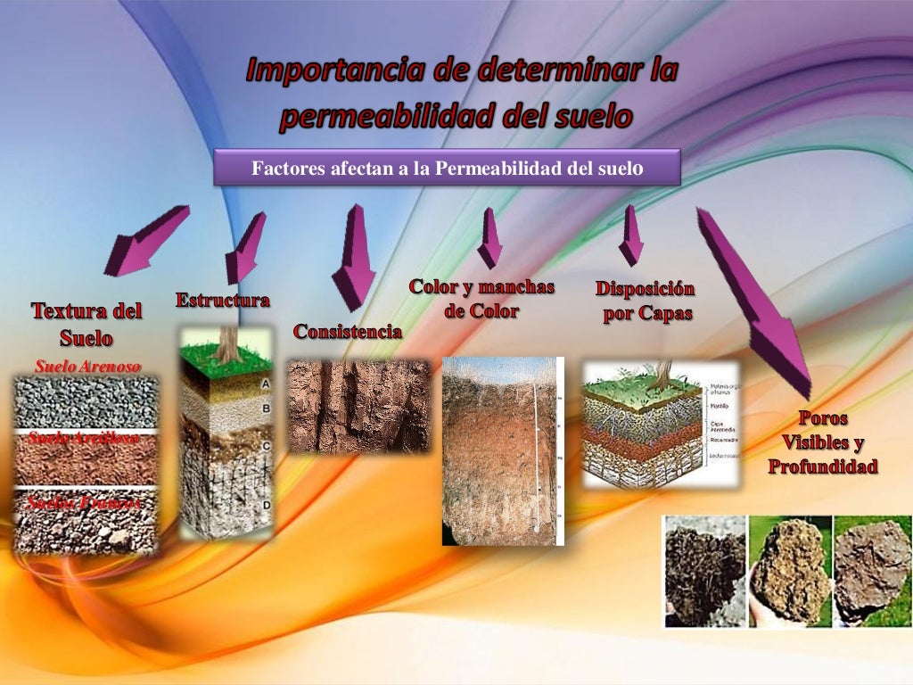 Diagnostico De La Infiltracion Y Permeabilidad En Los - vrogue.co