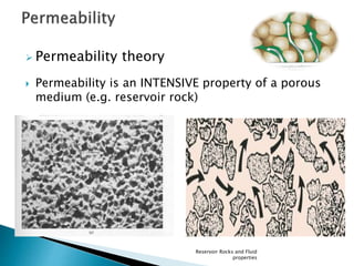  Permeability theory 
 Permeability is an INTENSIVE property of a porous 
medium (e.g. reservoir rock) 
Reservoir Rocks and Fluid 
properties 
 