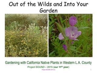 Project SOUND 2015 (c)
Out of the Wilds and Into Your
Garden
Gardening with California Native Plants in Western L.A. County
Project SOUND – 2015 (our 11th year)
1
 