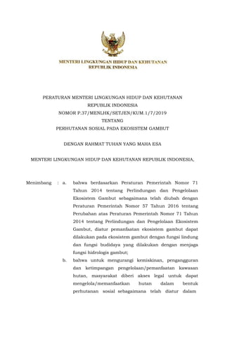 PERATURAN MENTERI LINGKUNGAN HIDUP DAN KEHUTANAN
REPUBLIK INDONESIA
NOMOR P.37/MENLHK/SETJEN/KUM.1/7/2019
TENTANG
PERHUTANAN SOSIAL PADA EKOSISTEM GAMBUT
DENGAN RAHMAT TUHAN YANG MAHA ESA
MENTERI LINGKUNGAN HIDUP DAN KEHUTANAN REPUBLIK INDONESIA,
Menimbang : a. bahwa berdasarkan Peraturan Pemerintah Nomor 71
Tahun 2014 tentang Perlindungan dan Pengelolaan
Ekosistem Gambut sebagaimana telah diubah dengan
Peraturan Pemerintah Nomor 57 Tahun 2016 tentang
Perubahan atas Peraturan Pemerintah Nomor 71 Tahun
2014 tentang Perlindungan dan Pengelolaan Ekosistem
Gambut, diatur pemanfaatan ekosistem gambut dapat
dilakukan pada ekosistem gambut dengan fungsi lindung
dan fungsi budidaya yang dilakukan dengan menjaga
fungsi hidrologis gambut;
b. bahwa untuk mengurangi kemiskinan, pengangguran
dan ketimpangan pengelolaan/pemanfaatan kawasan
hutan, masyarakat diberi akses legal untuk dapat
mengelola/memanfaatkan hutan dalam bentuk
perhutanan sosial sebagaimana telah diatur dalam
 