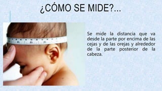 ¿CÓMO SE MIDE?...
Se mide la distancia que va
desde la parte por encima de las
cejas y de las orejas y alrededor
de la parte posterior de la
cabeza.
 