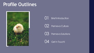 Brief Introduction
Permeva Culture
Permeva Solutions
Get in Touch!
01
02
03
04
Profile Outlines
 