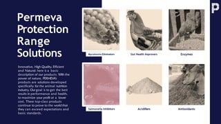 Permeva
Protection
Range
Solutions
Innovative, High Quality, Efficient
and Natural: here is a basic
description of our products. With the
power of nature, PERMEVA’s
products are solutions developed
specifically for the animal nutrition
industry. Our goal is to get the best
results in performance and health,
to maximize your profit at a lower
cost. These top-class products
continue to prove to the world that
they can exceed expectations and
basic standards.
Mycotoxins Eliminators Enzymes
Gut Health Improvers
Salmonella Inhibitors Antioxidants
Acidifiers
 