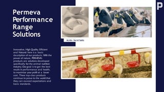 Permeva
Performance
Range
Solutions
Acids /Acid Salts
Innovative, High Quality, Efficient
and Natural: here is a basic
description of our products. With the
power of nature, PERMEVA’s
products are solutions developed
specifically for the animal nutrition
industry. Our goal is to get the best
results in performance and health,
to maximize your profit at a lower
cost. These top-class products
continue to prove to the world that
they can exceed expectations and
basic standards.
 