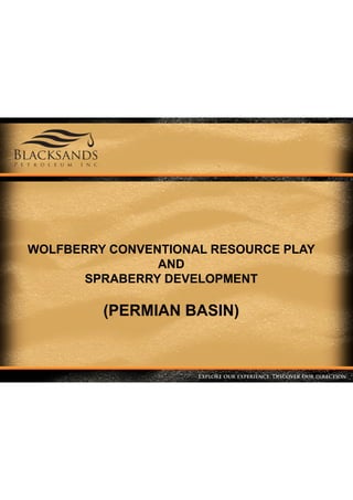 Permian basin overview