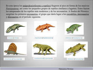 En esta época los  anápsidos(referente a reptiles)  llegaron al pico en forma de los masivos  Pareiasaurus , así como los pequeños grupos de reptiles similares a lagartos. Estos fueron los antepasados de los reptiles más modernos y de los arcosaurios. A finales del Pérmico surgirían los primeros  arcosaurios , el grupo que daría lugar a los  cocodrilos,   pterosaurios  y  dinosaurios  en el período siguiente. Eryops  ( Anfibio ) Seymouria  ( Reptiliomorpha ) Anthodon  ( Procolophonia ) Dimetrodon  ( Pelycosauria ) Inostrancevia  ( Gorgonopsia ) Diictodon  ( Dicynodontia ) Paleozoico-Pérmico 