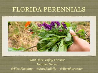 FLORIDA PERENNIALS
Plant Once. Enjoy Forever.
Heather Grove
@FleetFarming @EastEndMkt @Bornharvester
 