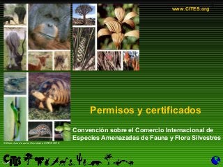 1
Permisos y certificados
www.CITES.org
Convención sobre el Comercio Internacional de
Especies Amenazadas de Fauna y Flora Silvestres
© Derechos de autor Secretaría CITES 2010
 