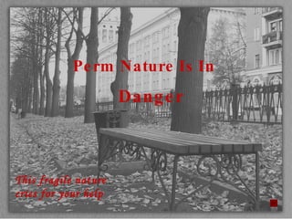 Perm Nature Is In  Danger This fragile nature cries for your help 