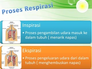 Inspirasi
• Proses pengambilan udara masuk ke
  dalam tubuh ( menarik napas)


Ekspirasi
• Proses pengeluaran udara dari dalam
  tubuh ( menghembuskan napas)
 