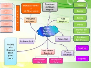 Jenis                                         Gangguan-                       Hidung
                       Frekuensi normal
kelamin                                        gangguan
                               =
                                                Respirasi
 Umur           F       15-20 per menit                                        Faring
                a
  Suhu          k
                          Frekuensi                           Alat             Laring
 tubuh          t
 Posisi         o         Respirasi                         Respirasi
 tubuh          r                                                              Trakea
                                              Sistem
Kegiatan                                                                      Bronkus dan
                                             Respirasi
                                                                               Paru-paru
                                             Manusia
                                                                               Bronkiolus
                                                            Pengertian        dan Alveolus
                    Jenis respirasi
    Volume
     Udara                                                                      Inspirasi
    Respirasi                                Mekanisme
     dalam                                                         Proses
                                              Respirasi
     paru-                                                        Respirasi
      paru                                                                      Ekspirasi
                                      Pernapasan     Pernapasan
                                         Dada           Perut
 