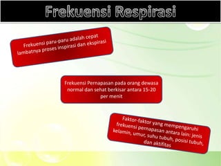 Frekuensi Pernapasan pada orang dewasa
 normal dan sehat berkisar antara 15-20
               per menit
 