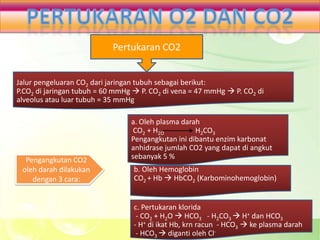 Pertukaran CO2


Jalur pengeluaran CO2 dari jaringan tubuh sebagai berikut:
P.CO2 di jaringan tubuh = 60 mmHg  P. CO2 di vena = 47 mmHg  P. CO2 di
alveolus atau luar tubuh = 35 mmHg

                                 a. Oleh plasma darah
                                  CO2 + H2O         H2CO3
                                 Pengangkutan ini dibantu enzim karbonat
                                 anhidrase jumlah CO2 yang dapat di angkut
  Pengangkutan CO2               sebanyak 5 %
 oleh darah dilakukan             b. Oleh Hemoglobin
    dengan 3 cara:                CO2 + Hb  HbCO2 (Karbominohemoglobin)


                                  c. Pertukaran klorida
                                   - CO2 + H2O  HCO3 - H2CO3  H+ dan HCO3
                                  - H+ di ikat Hb, krn racun - HCO3  ke plasma darah
                                   - HCO3  diganti oleh Cl-
 